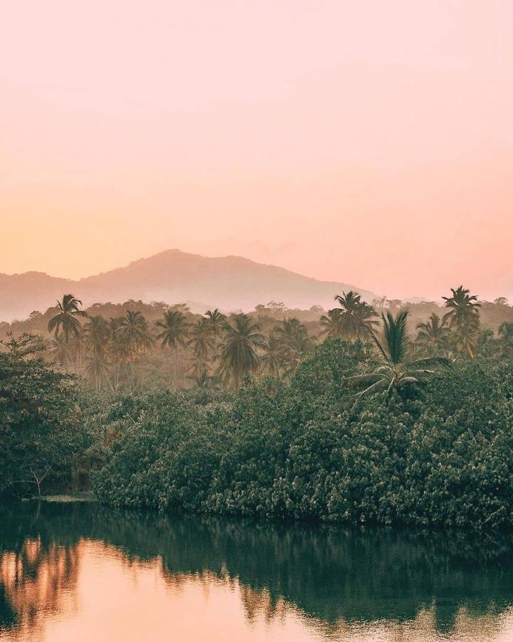 Hotel Jasayma Dentro Del Parque Tayrona 埃尔扎伊诺 外观 照片