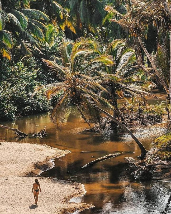 Hotel Jasayma Dentro Del Parque Tayrona 埃尔扎伊诺 外观 照片