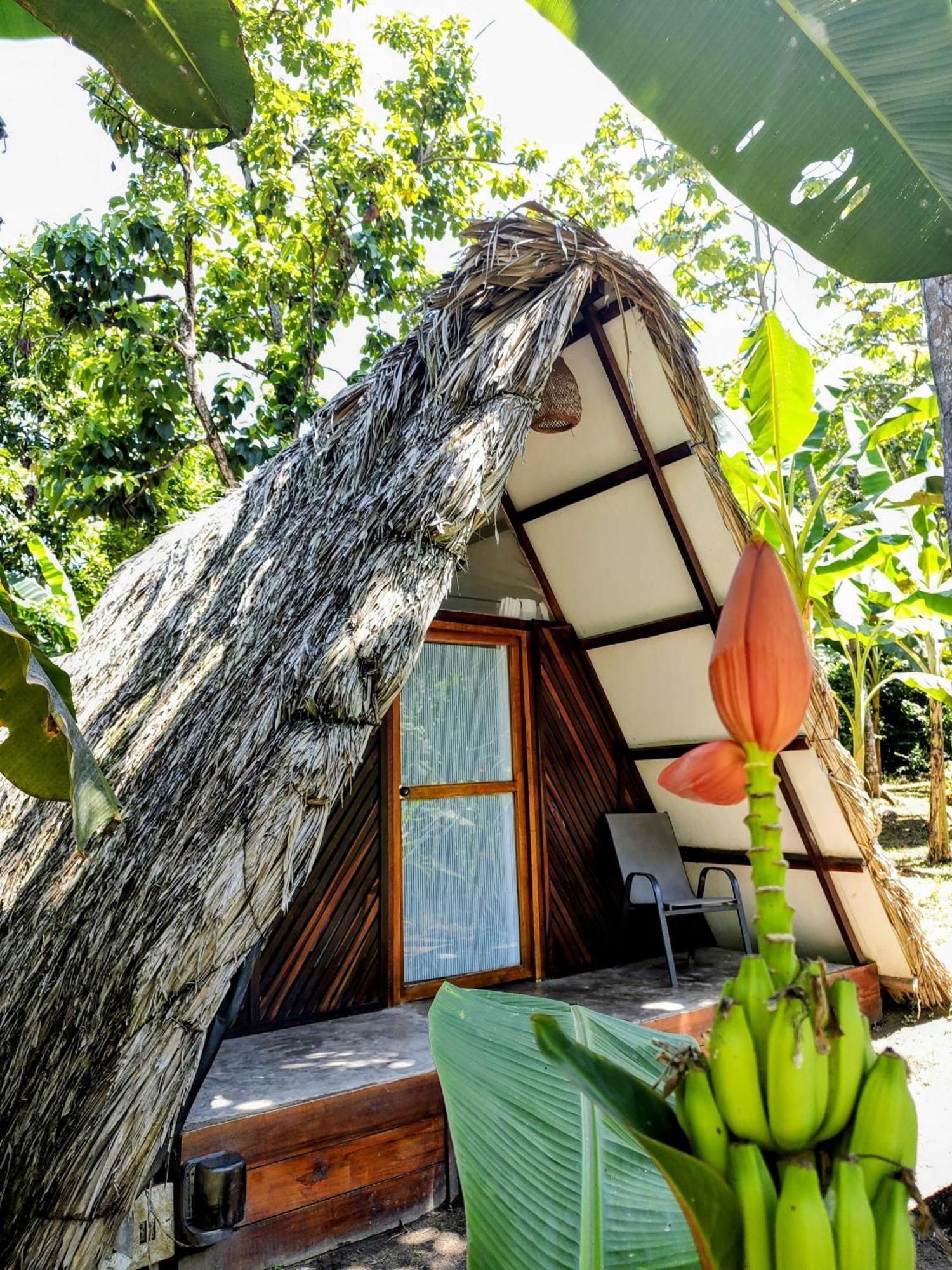 Hotel Jasayma Dentro Del Parque Tayrona 埃尔扎伊诺 外观 照片